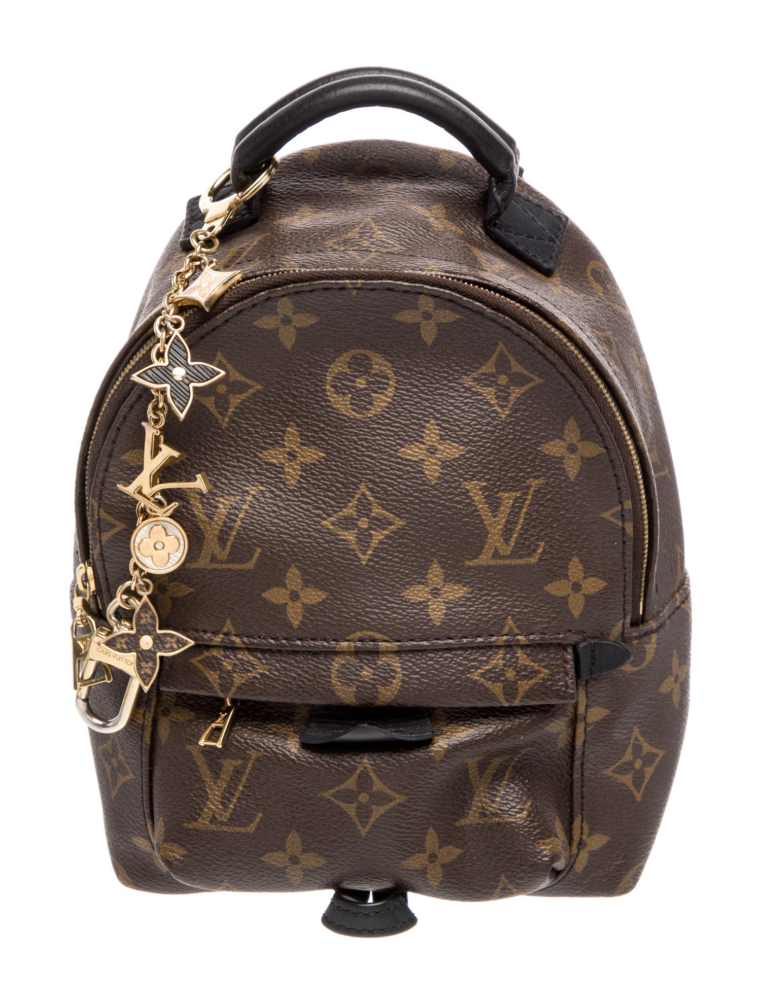 Louis Vuitton LV Monogram Palm Springs Mini