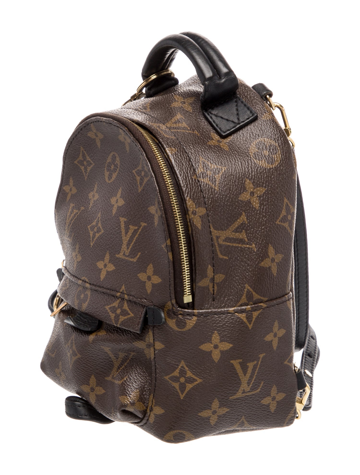 Louis Vuitton LV Monogram Palm Springs Mini