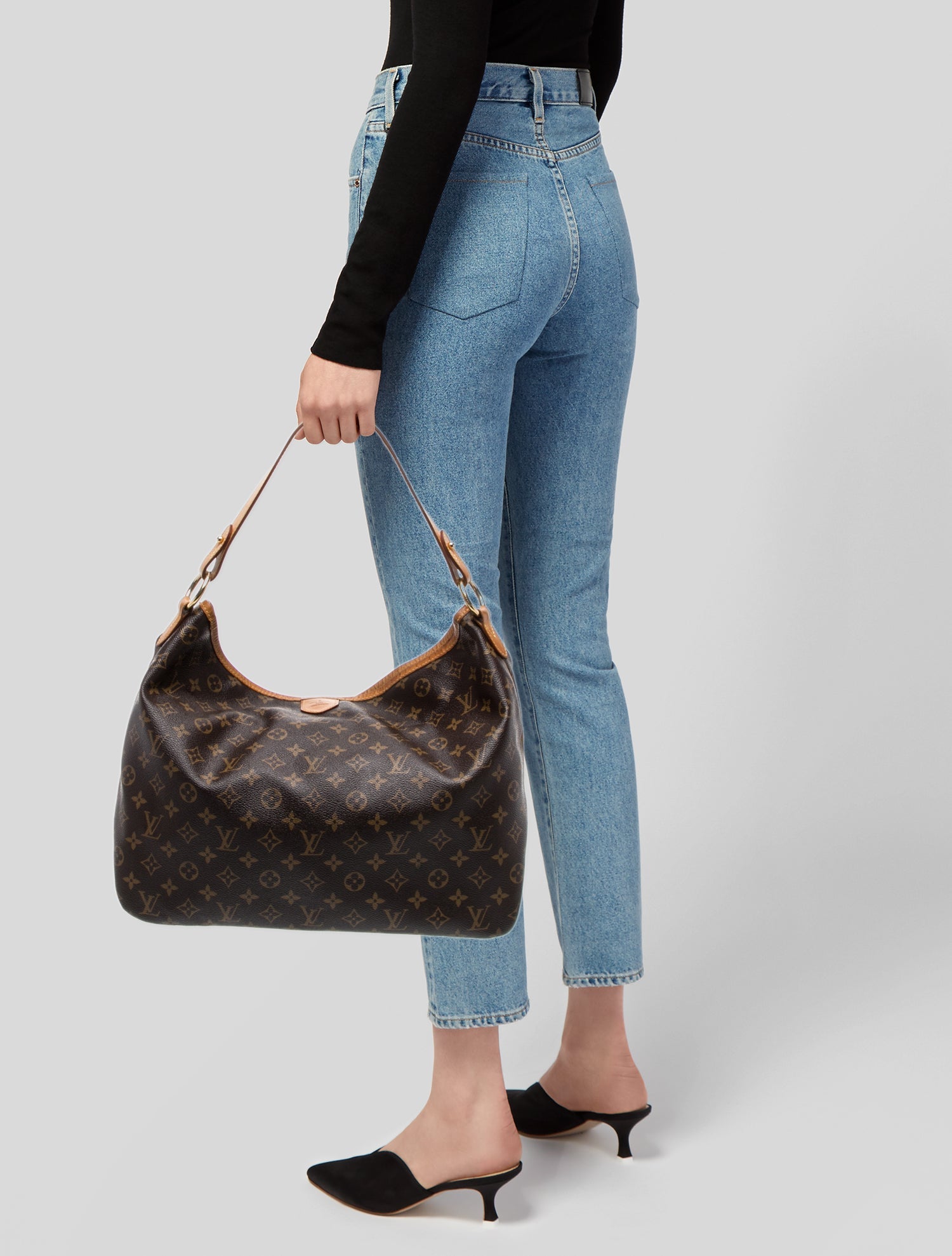 Louis Vuitton LV Monogram Delightful MM