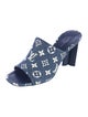Louis Vuitton LV Monogram Denim Slides