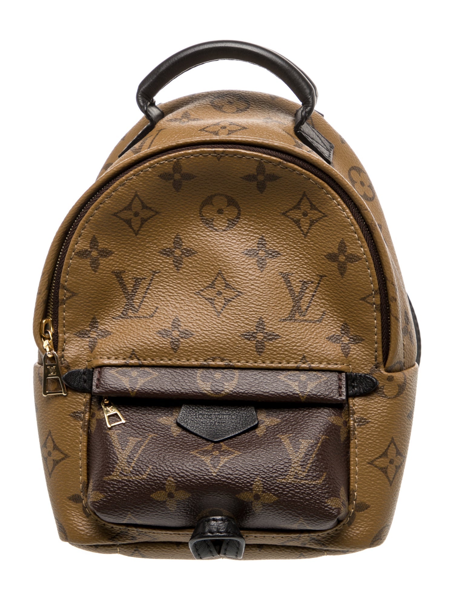 Louis Vuitton LV Monogram Palm Springs Mini