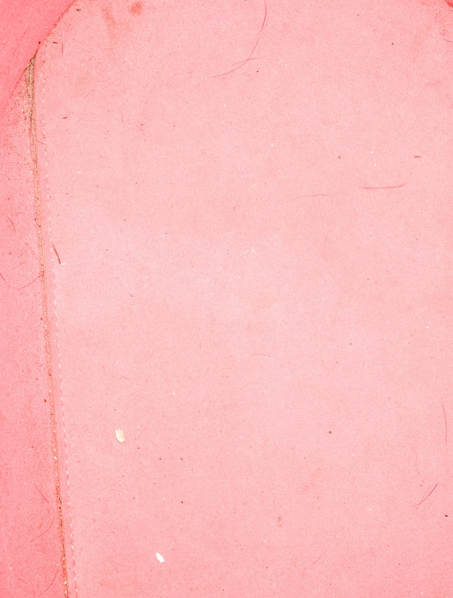 Louis Vuitton Epi Leather Neverfull w/Pouch MM