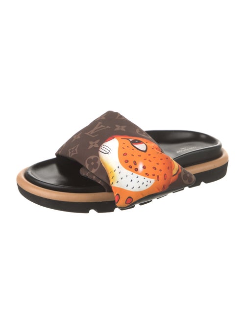 Louis Vuitton Printed Flats