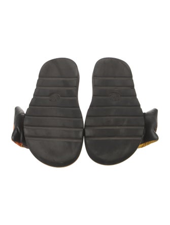 Louis Vuitton Printed Flats