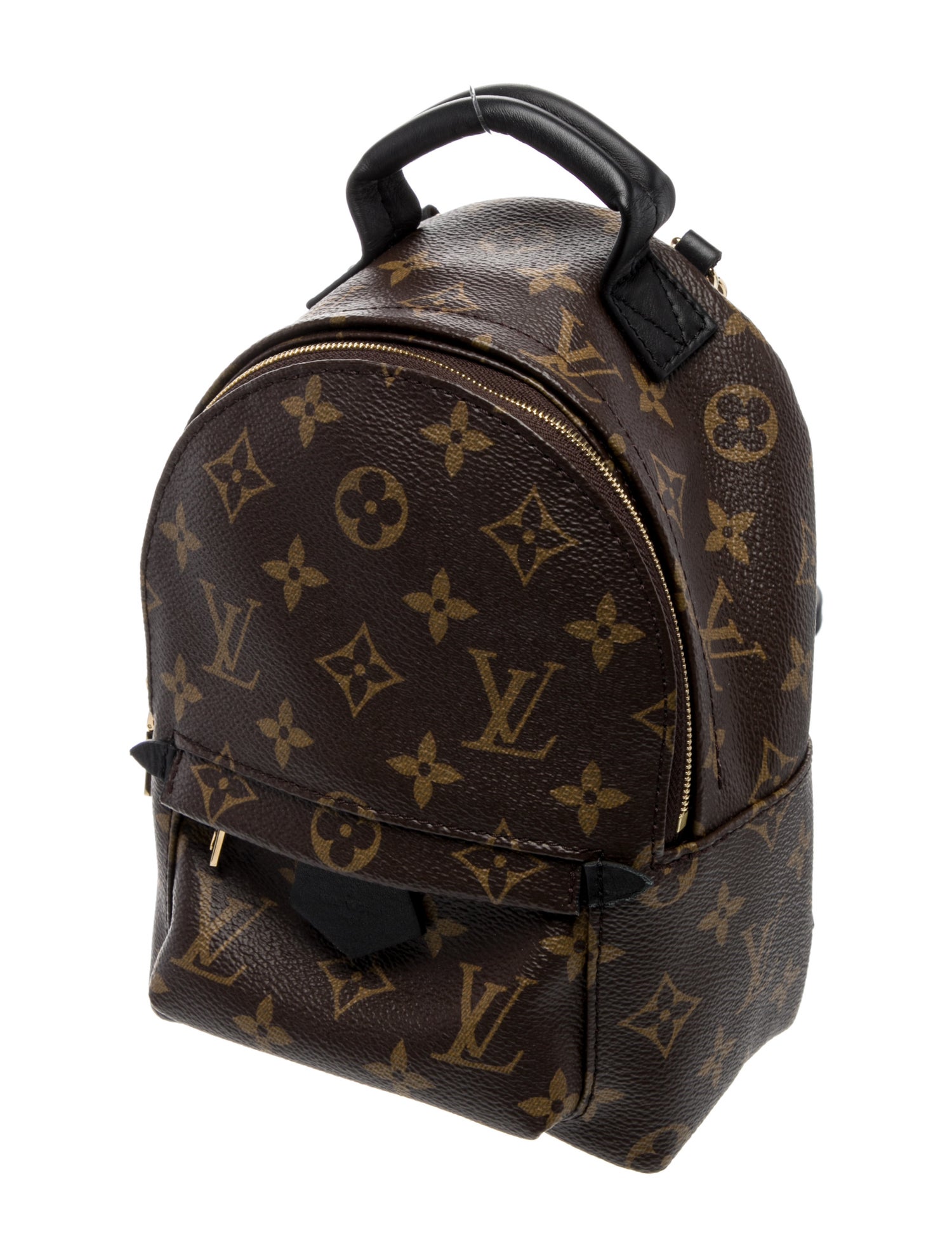 Louis Vuitton LV Monogram Palm Springs Mini
