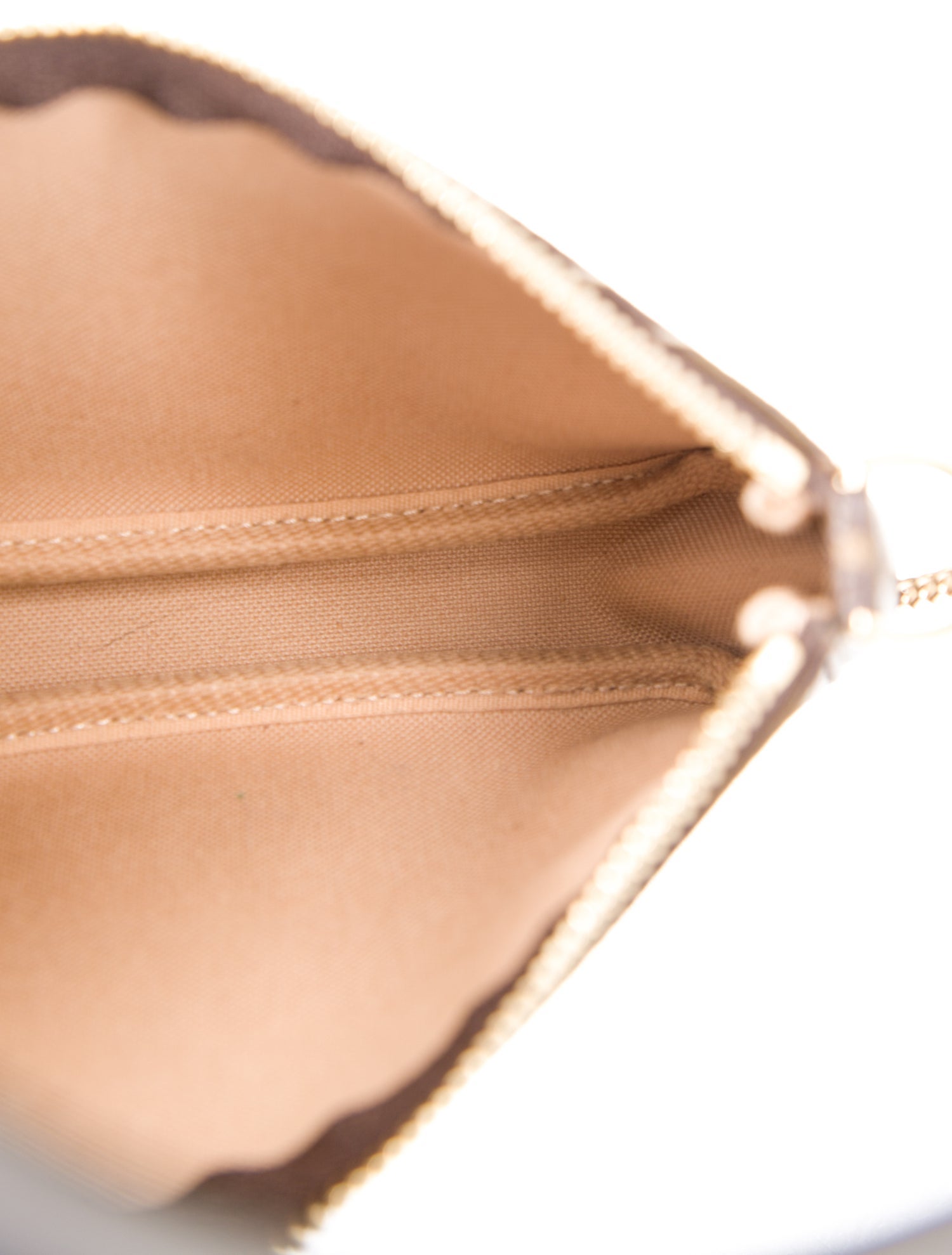 Louis Vuitton LV Monogram Pochette Accessoires Mini