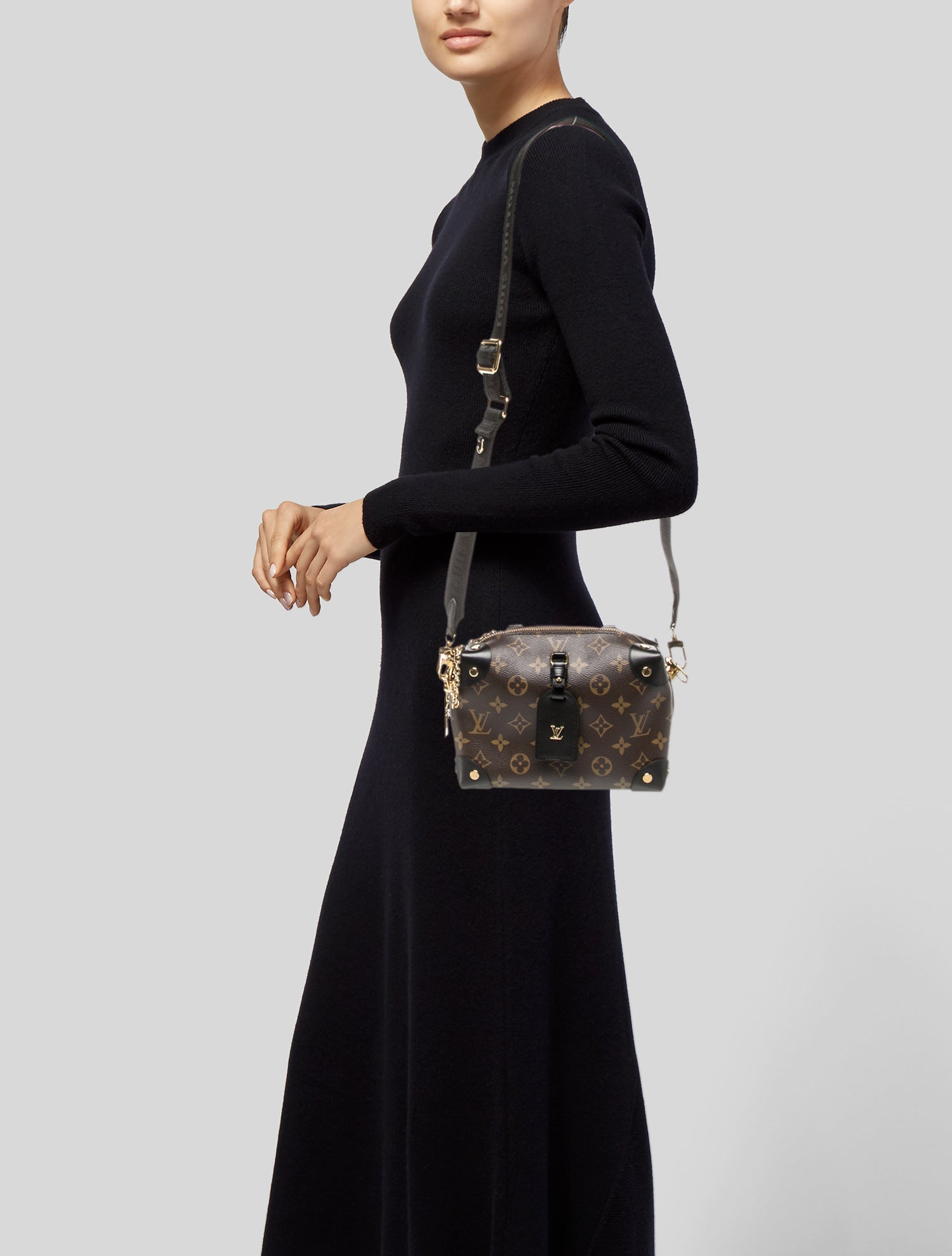 Louis Vuitton LV Monogram Petite Malle Souple