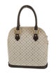 Louis Vuitton Monogram Mini Lin Alma Haut