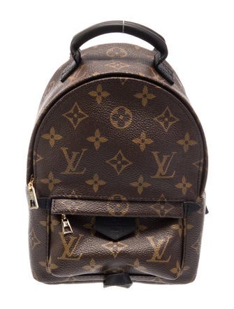 Louis Vuitton LV Monogram Palm Springs Mini