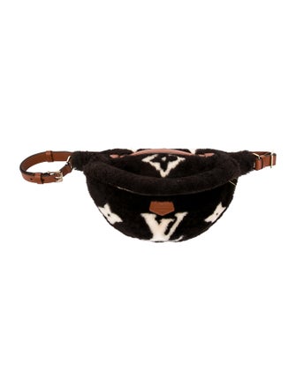 Louis Vuitton LV Monogram Bumbag