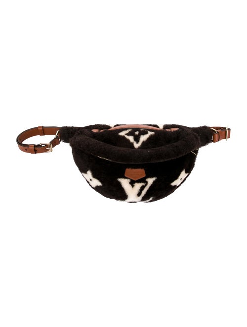Louis Vuitton LV Monogram Bumbag