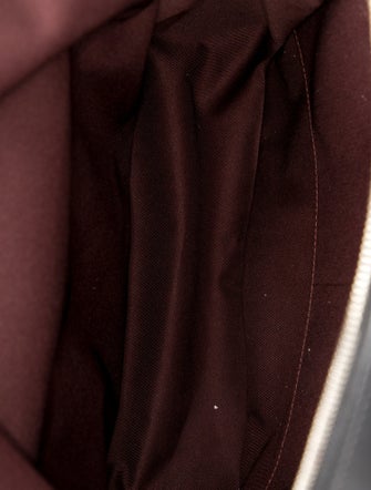 Louis Vuitton LV Monogram Palm Springs