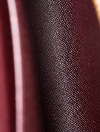 Louis Vuitton Taiga Leather Portfolio