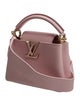 Louis Vuitton Taurillon Leather Capucines Mini