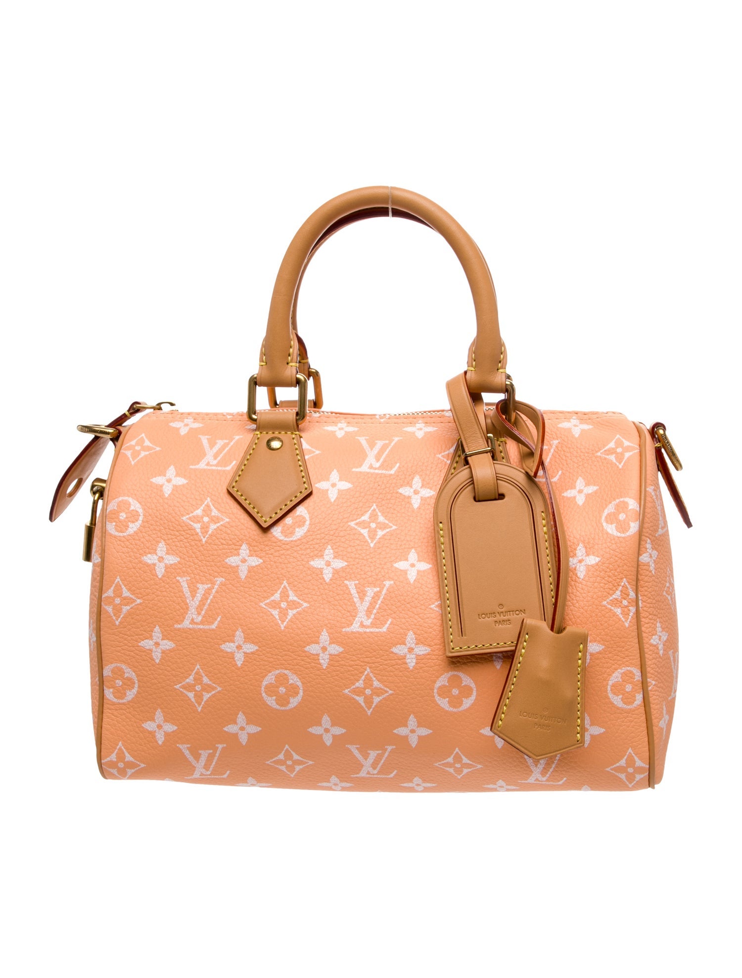 Louis Vuitton LV Monogram Speedy 25