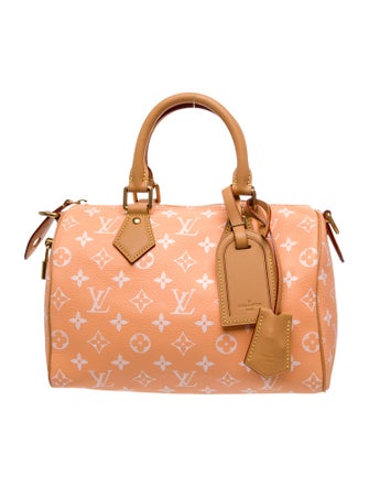 Louis Vuitton LV Monogram Speedy 25