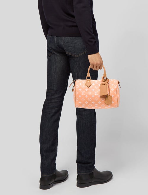Louis Vuitton LV Monogram Speedy 25
