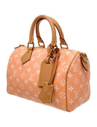 Louis Vuitton LV Monogram Speedy 25