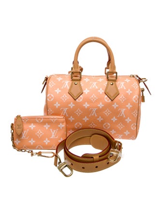 Louis Vuitton LV Monogram Speedy 25