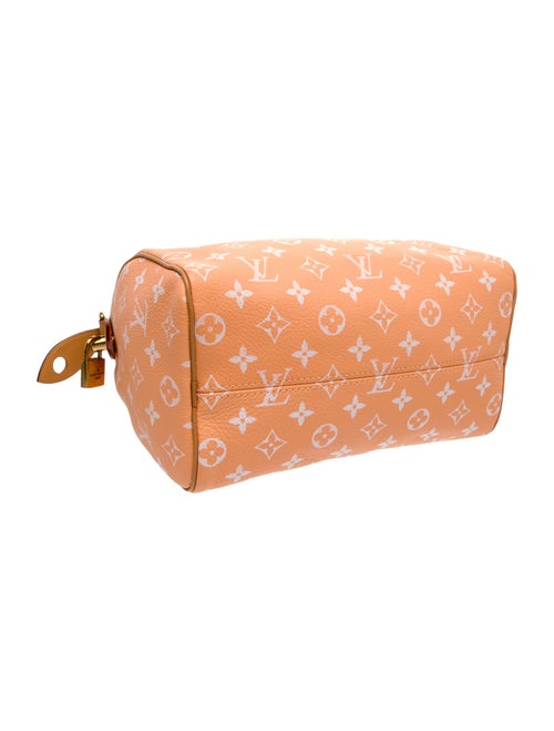 Louis Vuitton LV Monogram Speedy 25