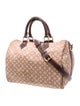 Louis Vuitton Monogram Mini Lin Speedy Bandouliere 30