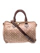 Louis Vuitton Monogram Mini Lin Speedy Bandouliere 30