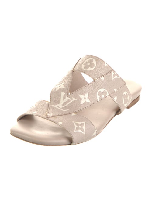 Louis Vuitton LV Monogram Slides