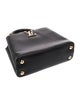 Louis Vuitton LV Monogram Blossom Handle Capucines BB