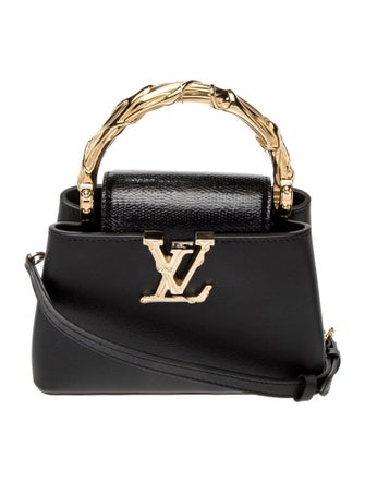 Louis Vuitton LV Monogram Acanto Capucines Mini 2025