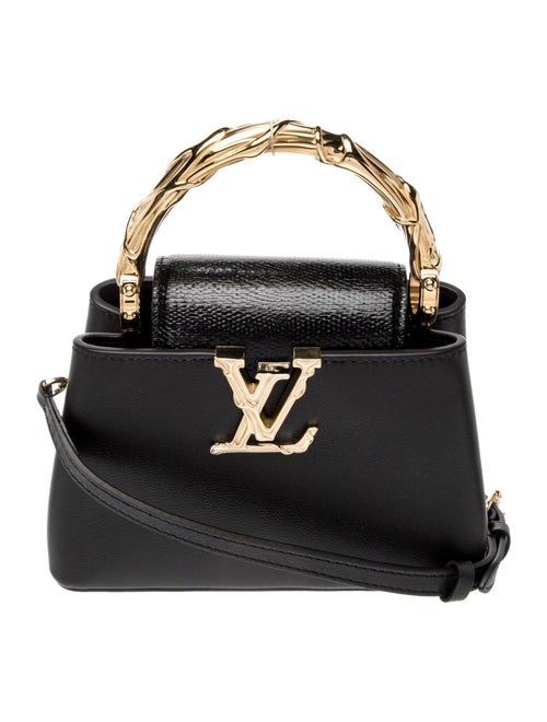 Louis Vuitton LV Monogram Acanto Capucines Mini 2025