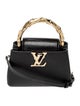 Louis Vuitton LV Monogram Acanto Capucines Mini 2025