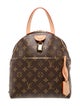 Louis Vuitton LV Monogram Moon