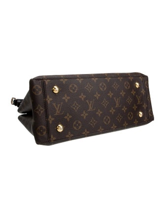 Louis Vuitton LV Monogram Flower