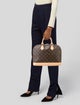 Louis Vuitton LV Monogram Alma PM