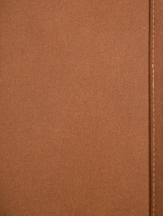 Louis Vuitton LV Monogram Alma PM