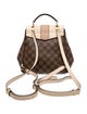 Louis Vuitton Damier Ebene Clapton Backpack