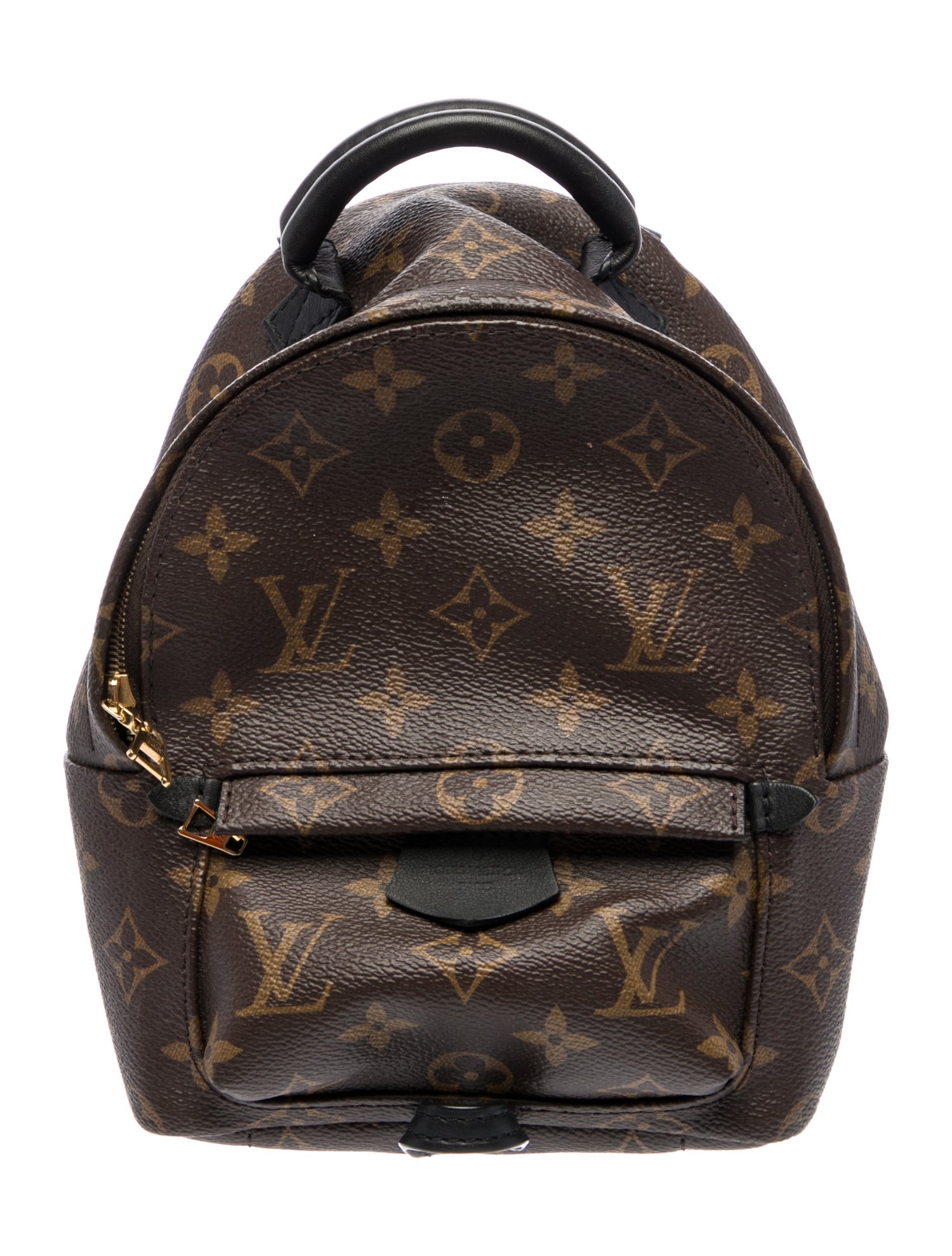 Louis Vuitton LV Monogram Palm Springs Mini