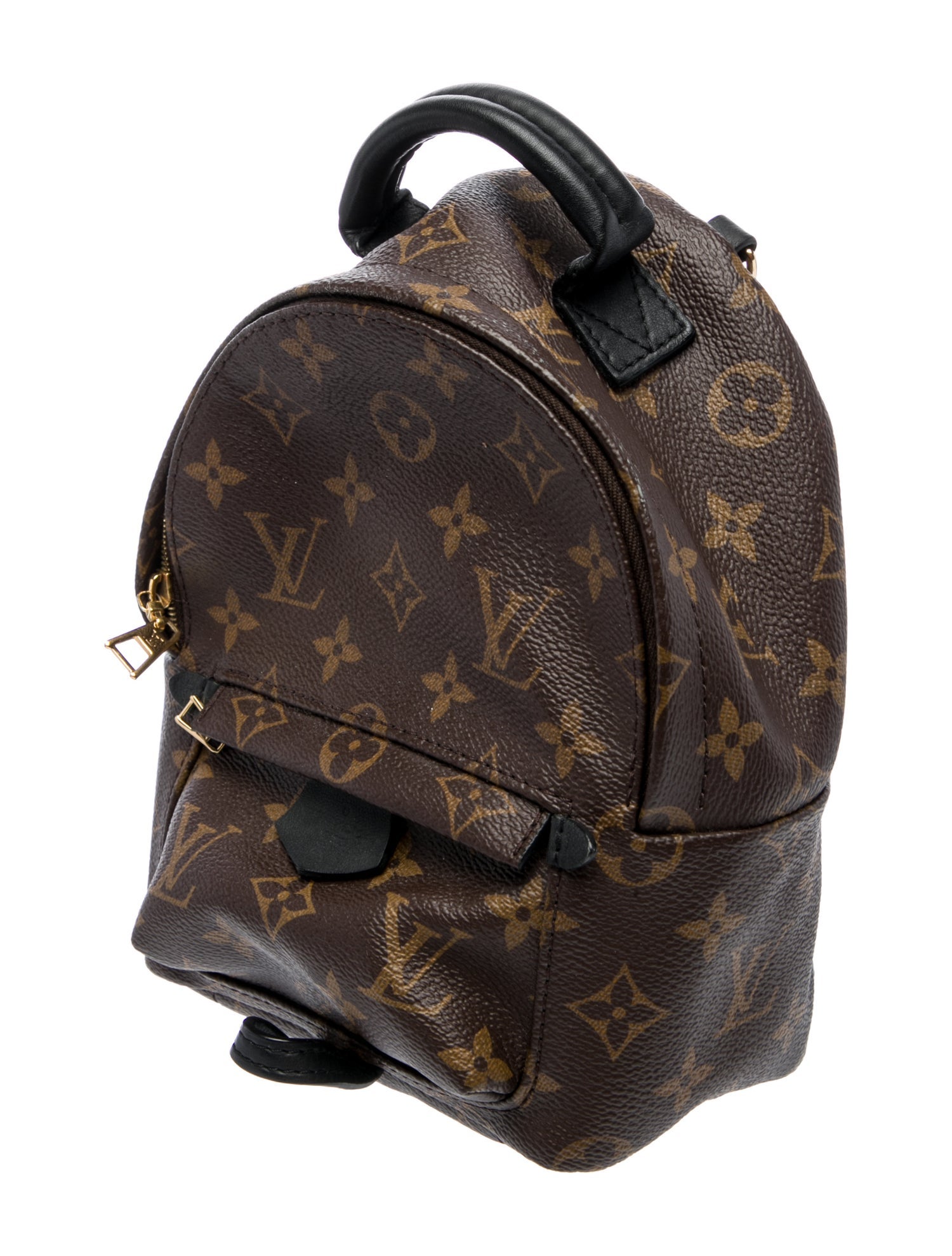 Louis Vuitton LV Monogram Palm Springs Mini