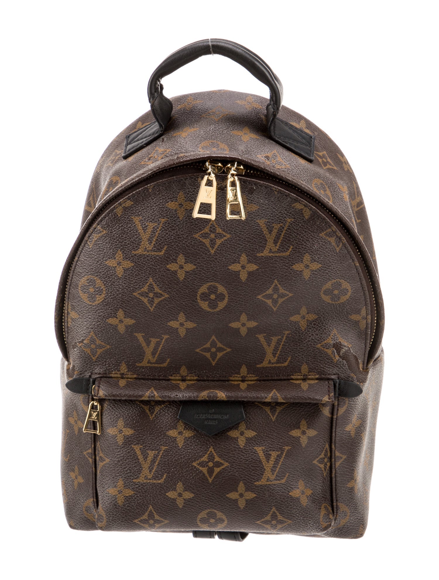 Louis Vuitton LV Monogram Palm Springs PM
