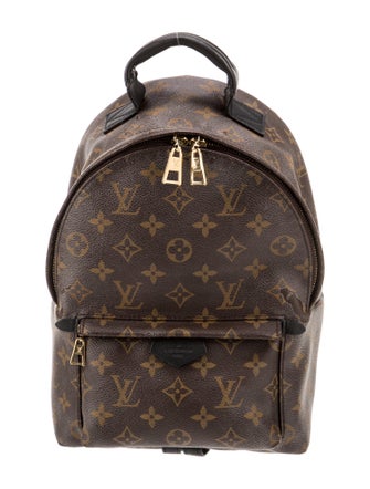Louis Vuitton LV Monogram Palm Springs PM