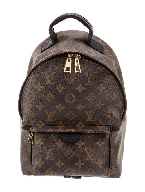 Louis Vuitton LV Monogram Palm Springs PM