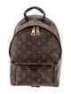 Louis Vuitton LV Monogram Palm Springs PM