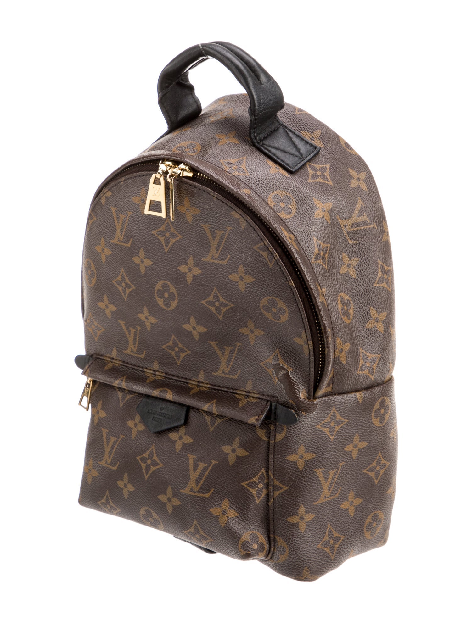 Louis Vuitton LV Monogram Palm Springs PM