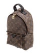 Louis Vuitton LV Monogram Palm Springs PM