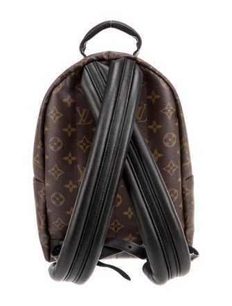 Louis Vuitton LV Monogram Palm Springs PM