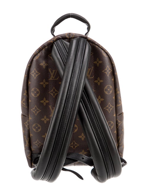 Louis Vuitton LV Monogram Palm Springs PM