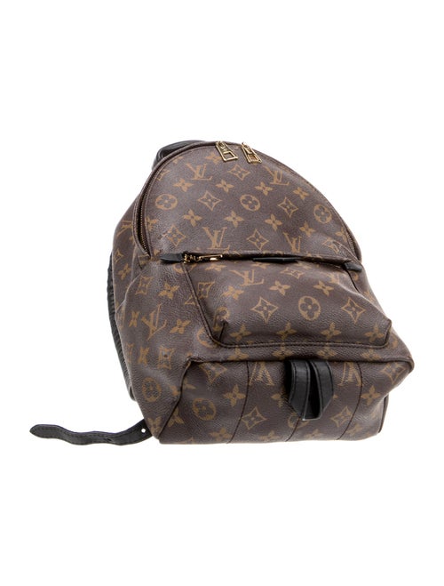 Louis Vuitton LV Monogram Palm Springs PM
