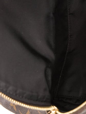 Louis Vuitton LV Monogram Palm Springs PM