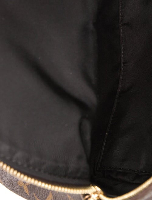 Louis Vuitton LV Monogram Palm Springs PM