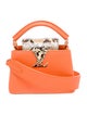 Louis Vuitton Taurillon Leather Capucines Mini